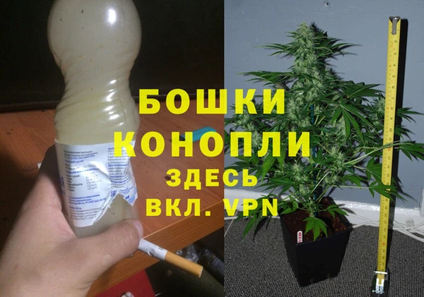 тгк Арсеньев