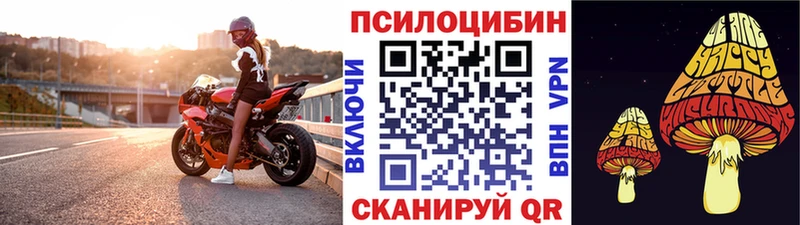 купить закладку  Аша  Псилоцибиновые грибы Cubensis 